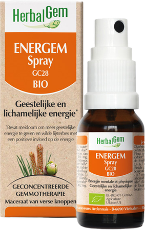 Herbalgem Energem Spray Gc28 Bio Compl. Energ.10ml 1
