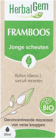 Herbalgem Frambozenstruik Bio 30ml 3