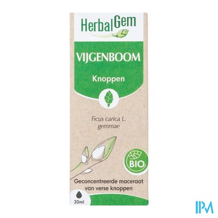 Herbalgem Vijgenboom Bio 30ml 4
