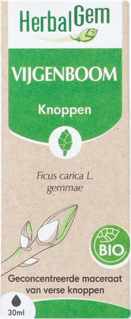 Herbalgem Vijgenboom Bio 30ml 4