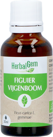 Herbalgem Vijgenboom Bio 30ml 2