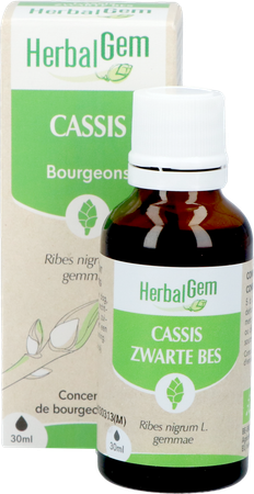 Herbalgem Zwarte Bes Bio 30ml 9