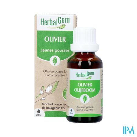 Herbalgem Olijfboom Bio 30ml 4