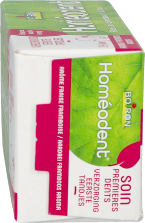 Homeodent 1st Teeth Care Strawb.&raspb. Tandp.50ml 5