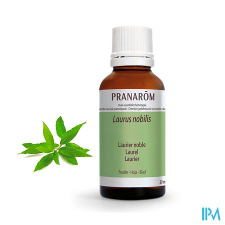 Laurier Ess Olie 30ml Pranarom 2