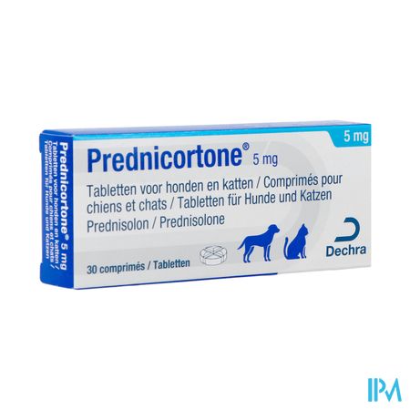 Prednicortone 5mg Comp Chien Chat 30