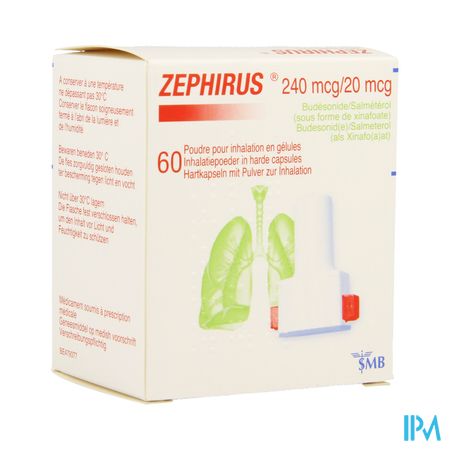 Zephirus 240mcg/20mcg Pdr Inhal. 60 Gel + 1 Inhal.