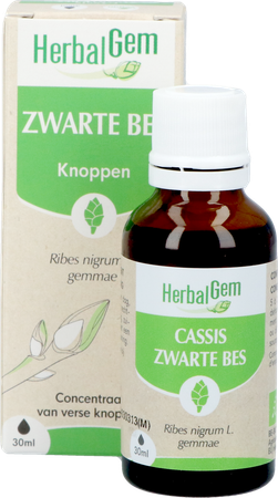 Herbalgem Zwarte Bes Bio 30ml 8