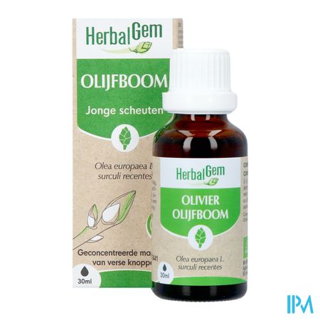 Herbalgem Olijfboom Bio 30ml 2