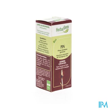Herbalgem Pin Montagne Macerat 15ml 1