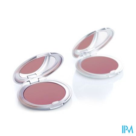 Tlc Teint Faj Poudre 03 Brun Rose 5g 6