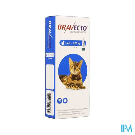 Bravecto 250mg Spot On Opl Kat >2,8-6,25kg Pipet 1