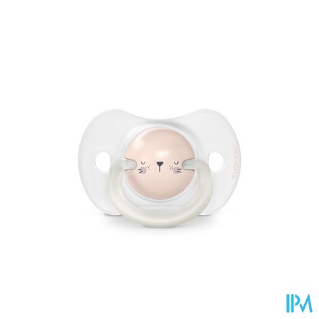 Suavinex N&d Soother Sili.rev.0-6m Rabbit Pk Duo 4
