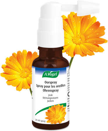 A.Vogel Spray pour les oreilles démangeaisons 20ml 4