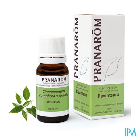 Ravintsara Ess Olie 100ml Pranarom 2