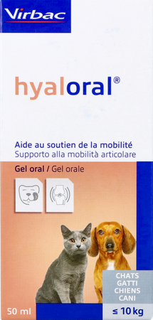 Hyaloral 50ml 1