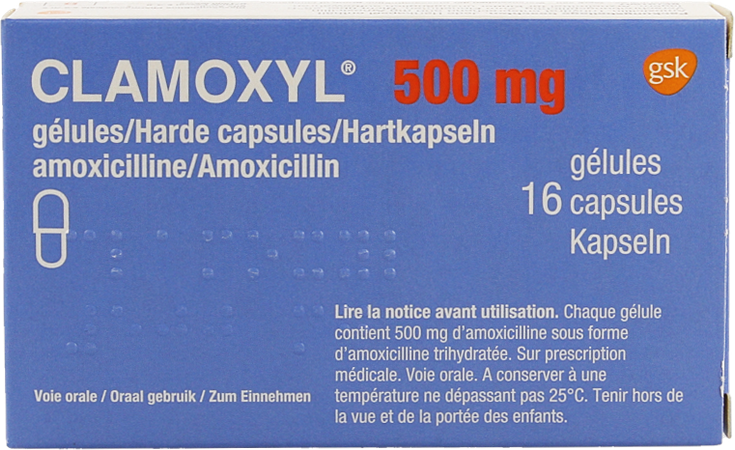 Clamoxyl Caps 16 X 500mg 2