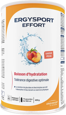 Ergysport Effort Peche Boisson Stick 6x30g 1