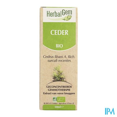 Herbalgem Libanonceder Maceraat 50ml 2