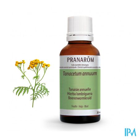 Tanacet. Annu Ess Olie 30ml Pranarom 2