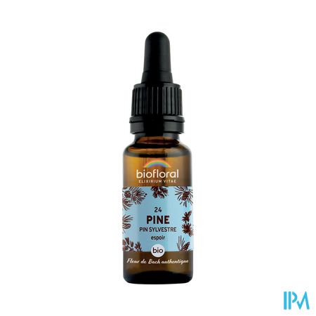 Biofloral Fleurs De Bach 24 Pin Sylvestre Bio 20ml