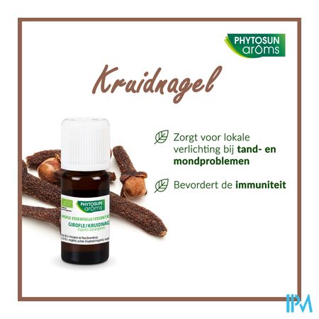 Phytosun Kruidnagel Fr-bio-01 10ml 9
