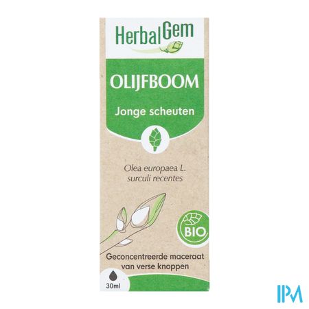 Herbalgem Olijfboom Bio 30ml 3