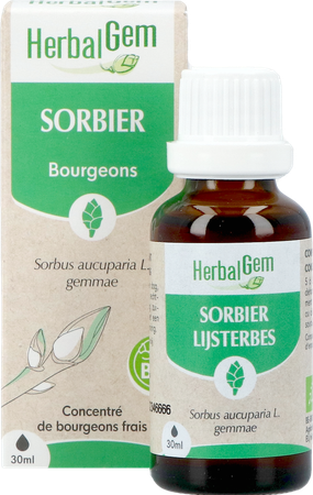 Herbalgem Lijsterbes Bio 30ml 5