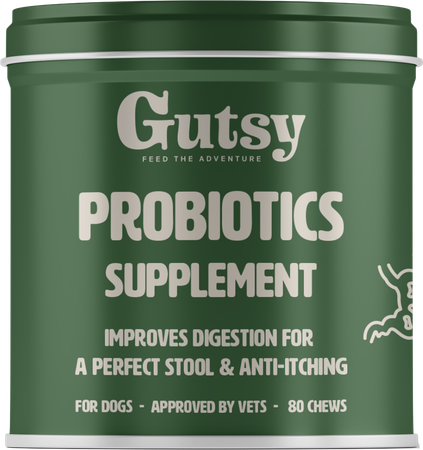 Gutsy Probiotics Supplement Chews 80 1
