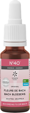 Bachbloesem Bio N40 Druppels Energie 20ml 1