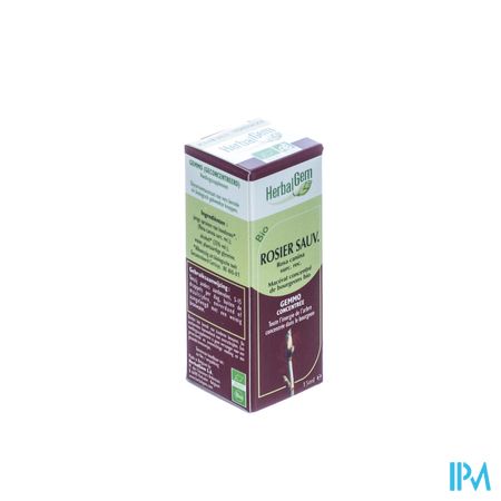 Herbalgem Hondsroos Maceraat 15ml 3