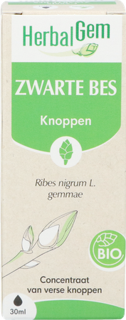 Herbalgem Zwarte Bes Bio 30ml 2