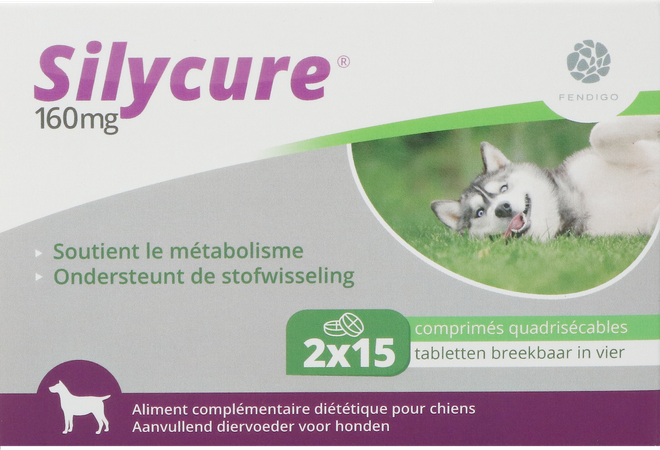 Silycure 160mg Comp 2x15 1