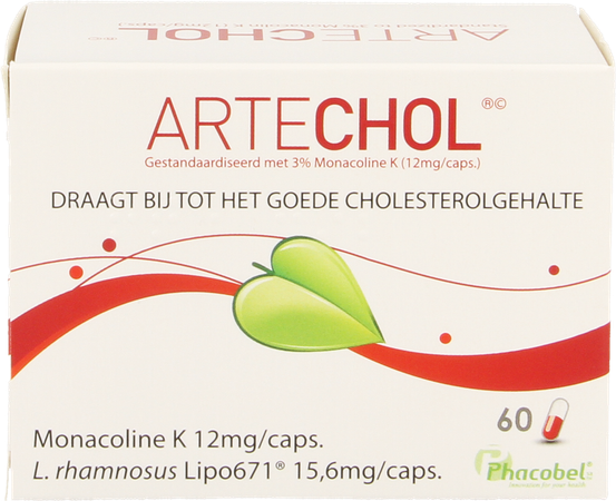 Artechol Gel 60 4