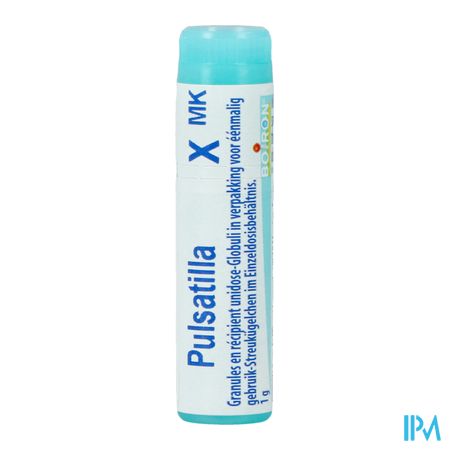 Pulsatilla Xmk Gl Boiron 1