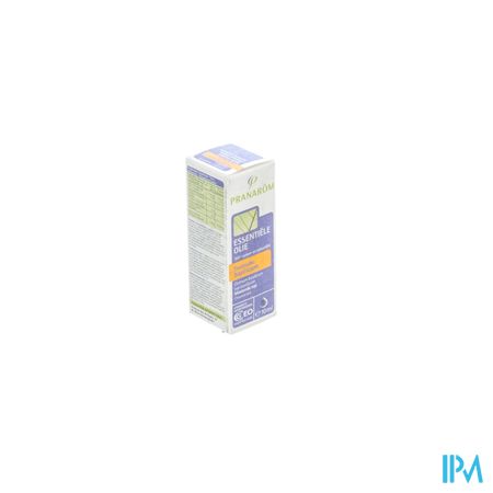 Basilicum Exotisch Ess Olie 10ml Pranarom 2