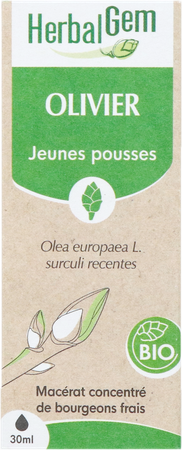 Herbalgem Olivier Bio 30ml 2
