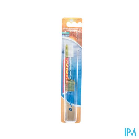 Lactona Brosse De Voyage C139