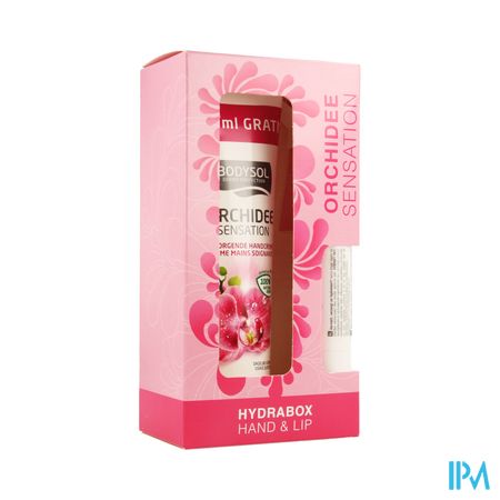 Bodysol Hydrabox Orchid Hand 100ml & Lip 4,8g