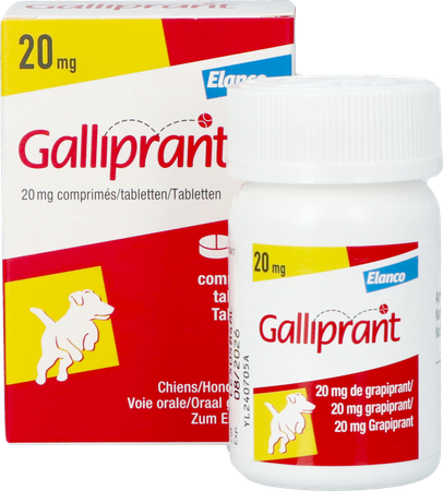 Galliprant 20mg Hond Comp 30 5