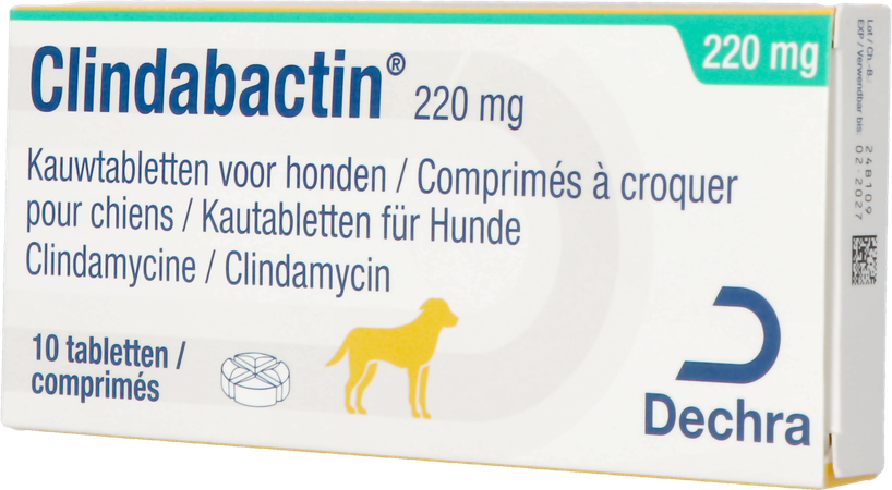 Clindabactin 220mg Kauwtabletten Honden Katten 10 4