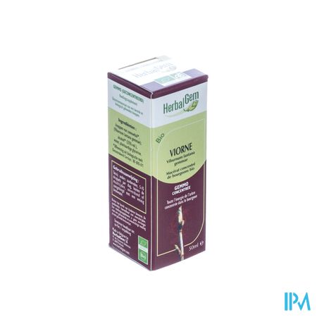 Herbalgem Wollige Sneeuwbal Maceraat 50ml 3