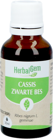 Herbalgem Zwarte Bes Bio 30ml 7