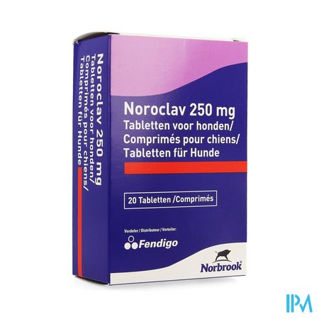 Noroclav Hond Comp 20x250mg