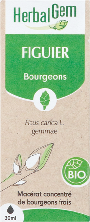 Herbalgem Vijgenboom Bio 30ml 6