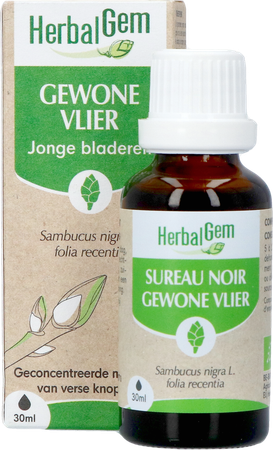 Herbalgem Vlier Bio 30ml 3