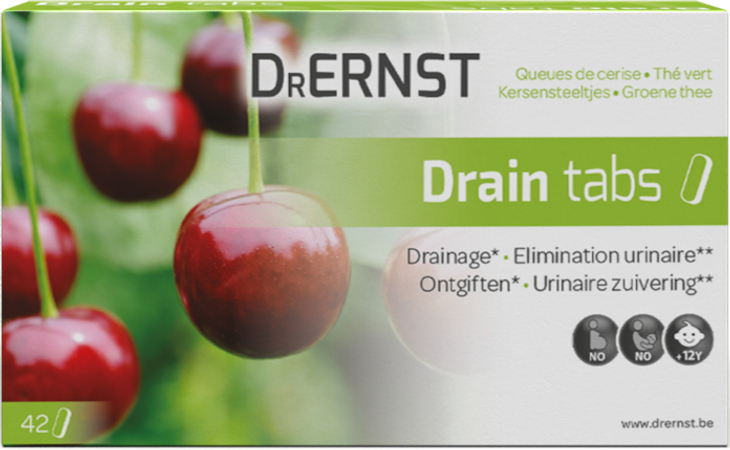 Dr Ernst Drain tabs 42 Comp 2