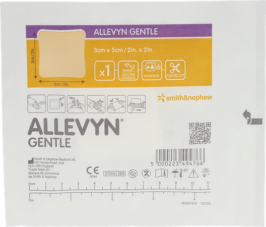 Allevyn Gentle Cp Foam 5cm X 5cm 10 66802128 3