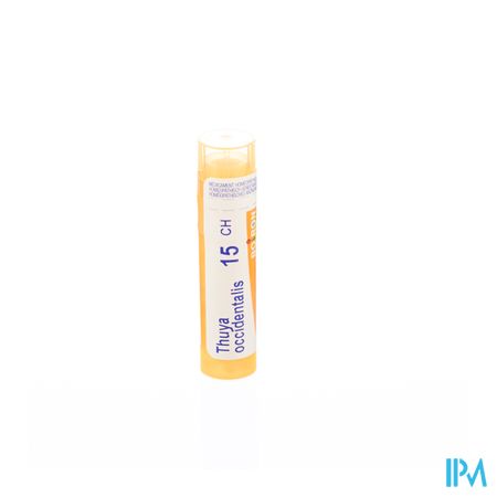 Thuya Occidentalis 15ch Gr 4g Boiron 1
