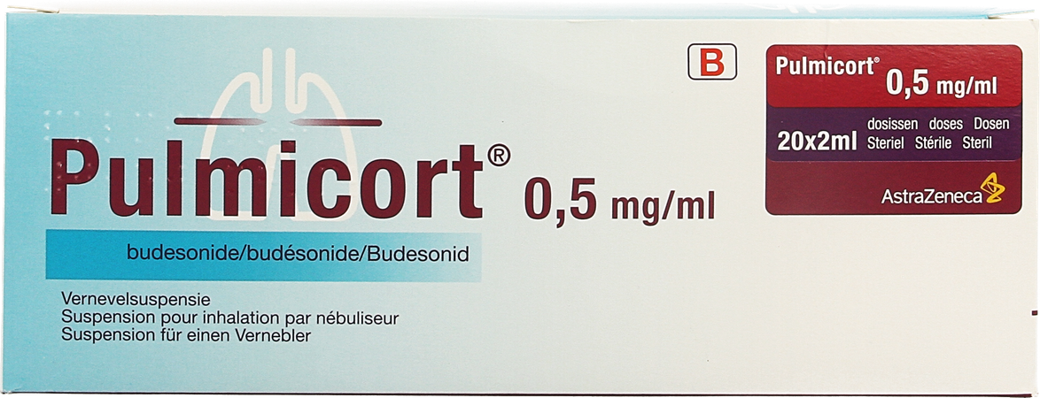 Pulmicort Pi Pharma Dos Neb 0,50mg/ml 20x2ml Pip 2